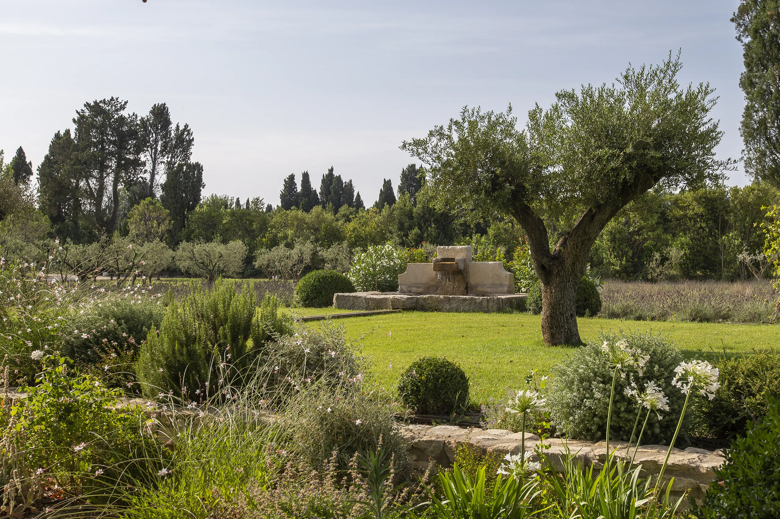 Réalisation Provence Jardin