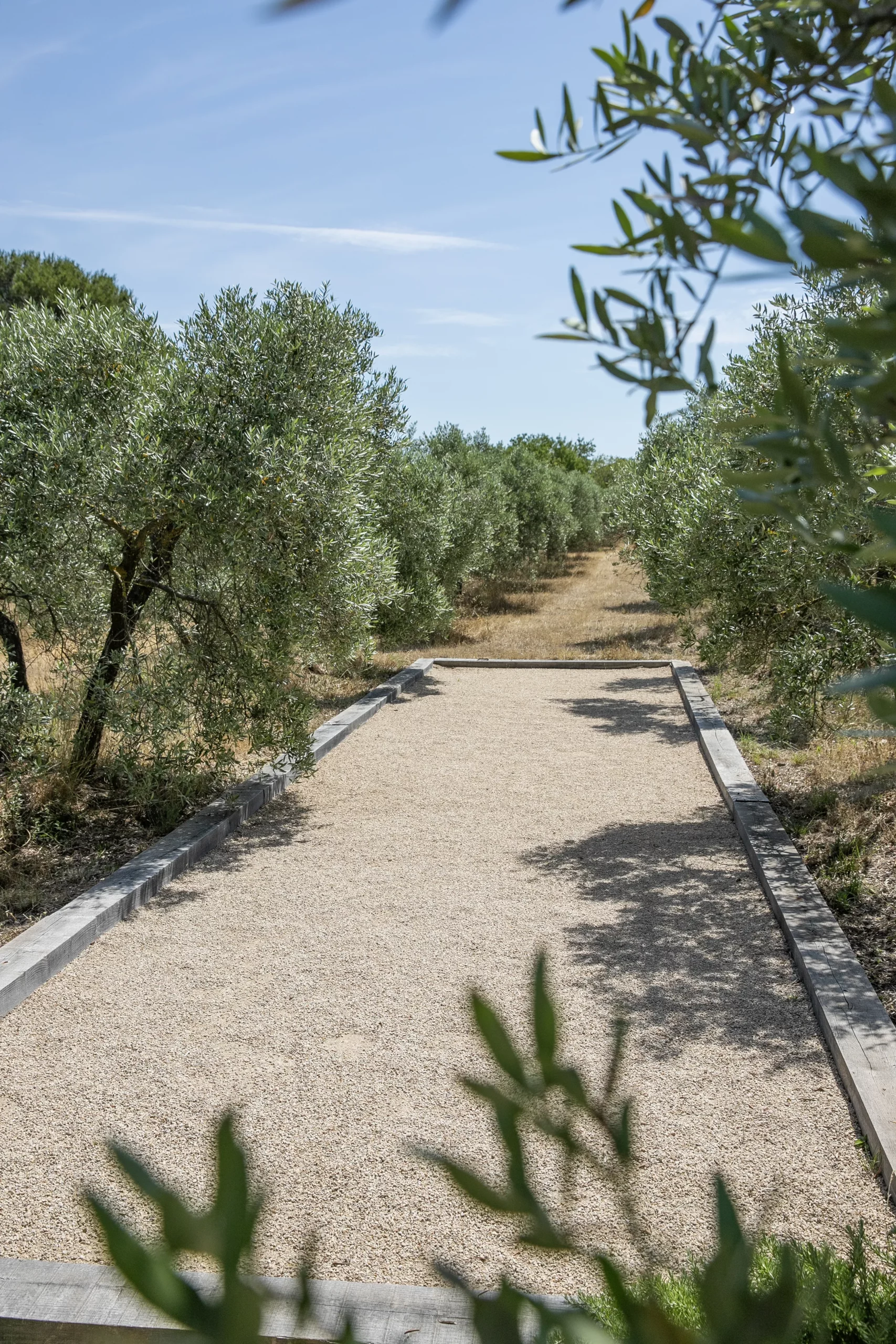 Réalisation Provence Jardin