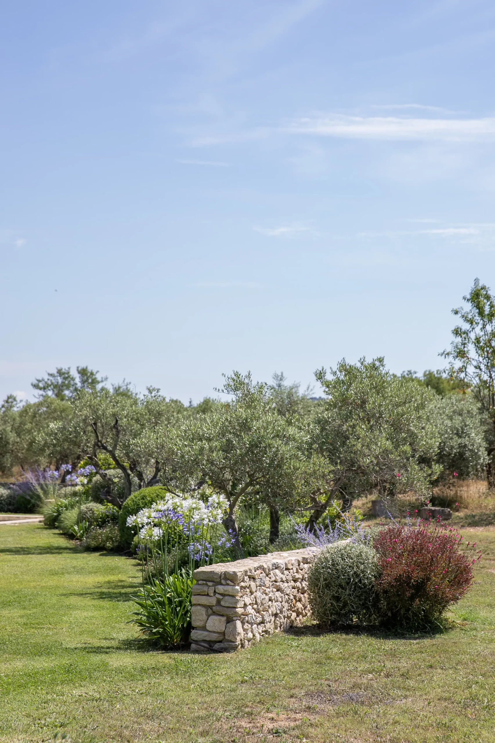 Réalisation Provence Jardin