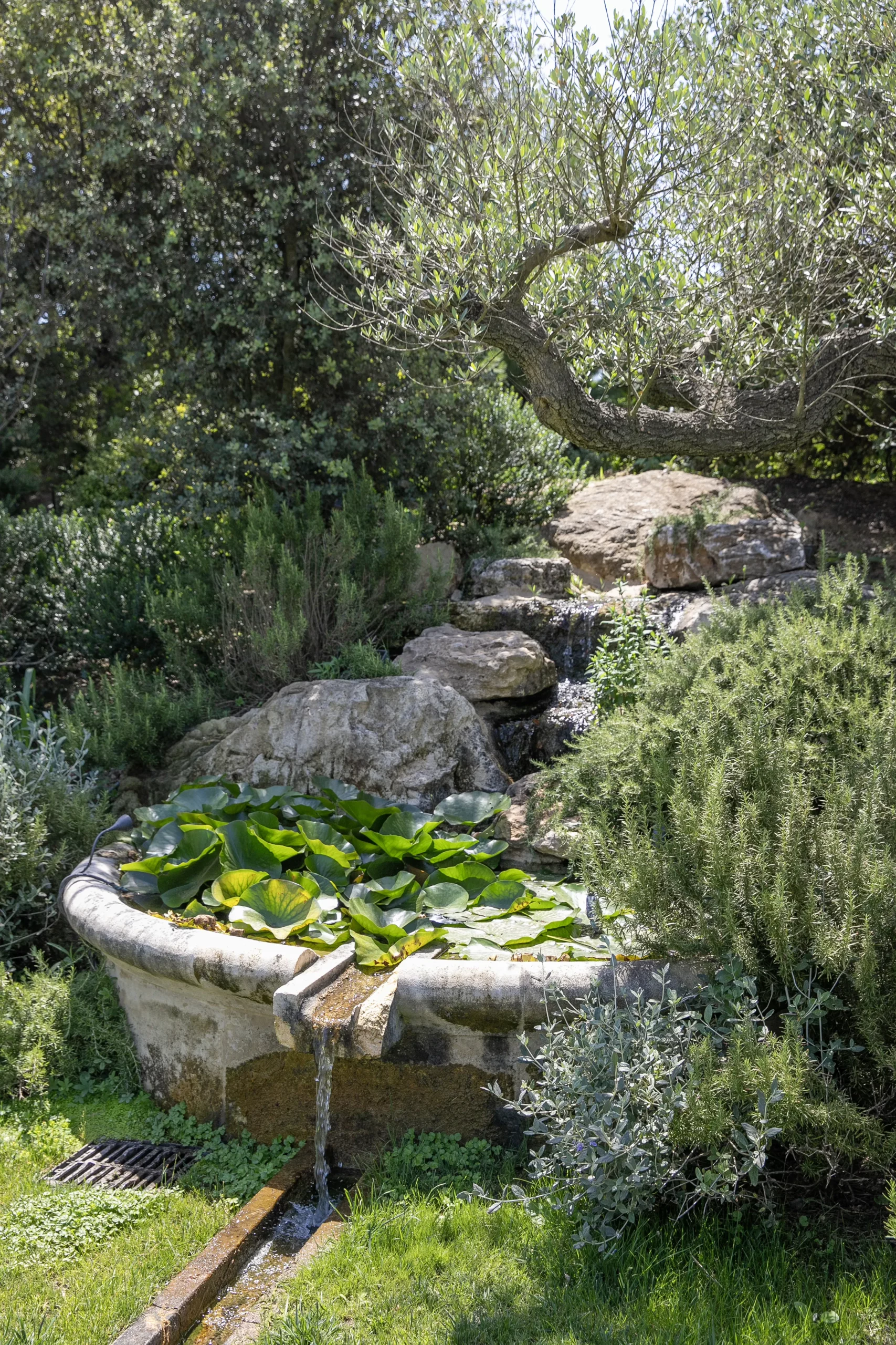 Réalisation Provence Jardin