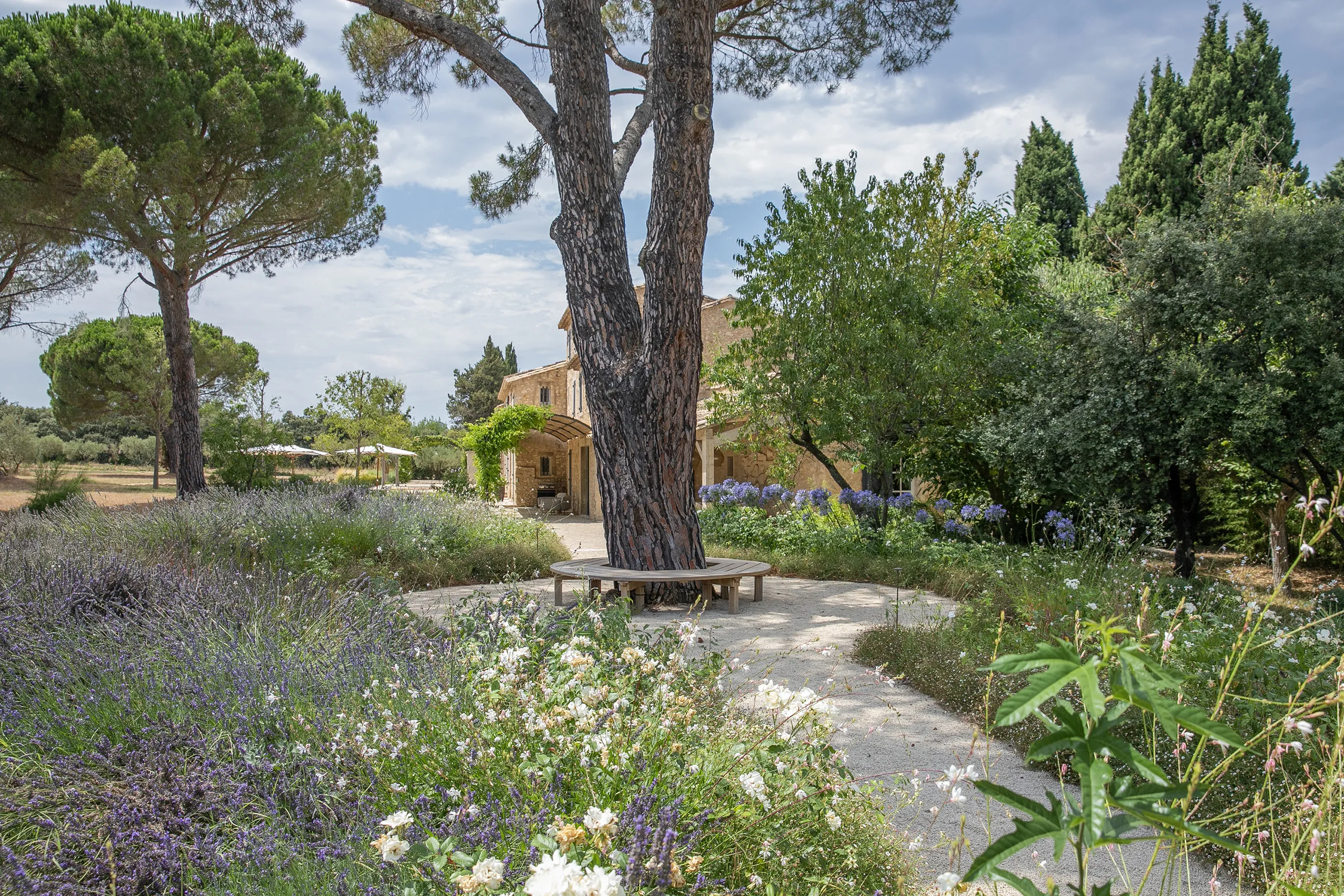 Réalisation Provence Jardin