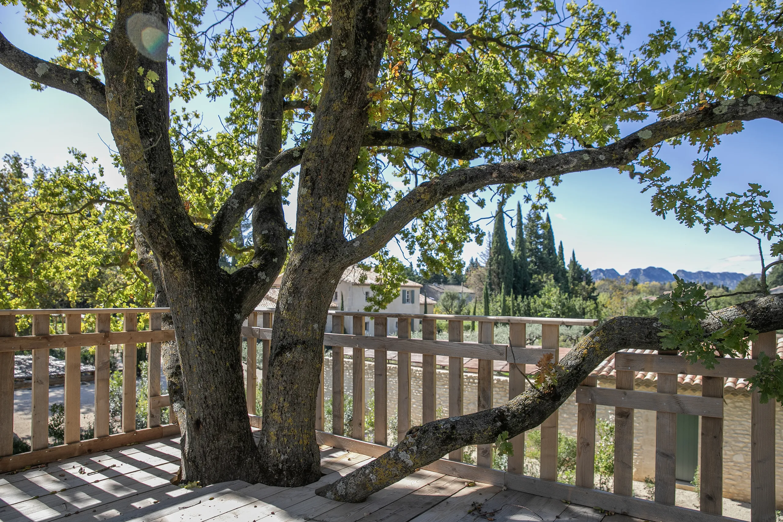 Réalisation Provence Jardin